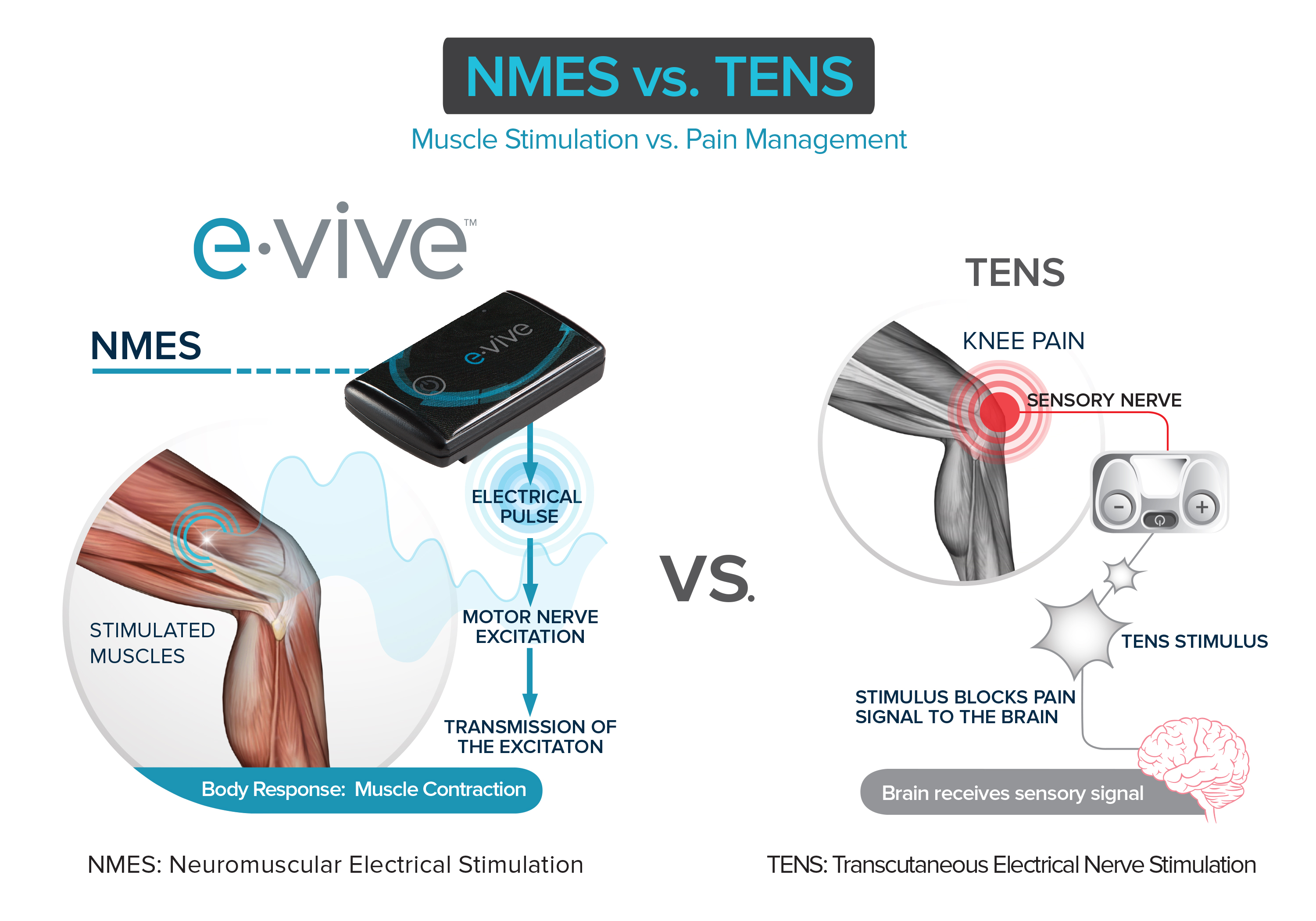 The Benefits of Electrical Stimulation after Knee Replacement - BSR  Physical Therapy