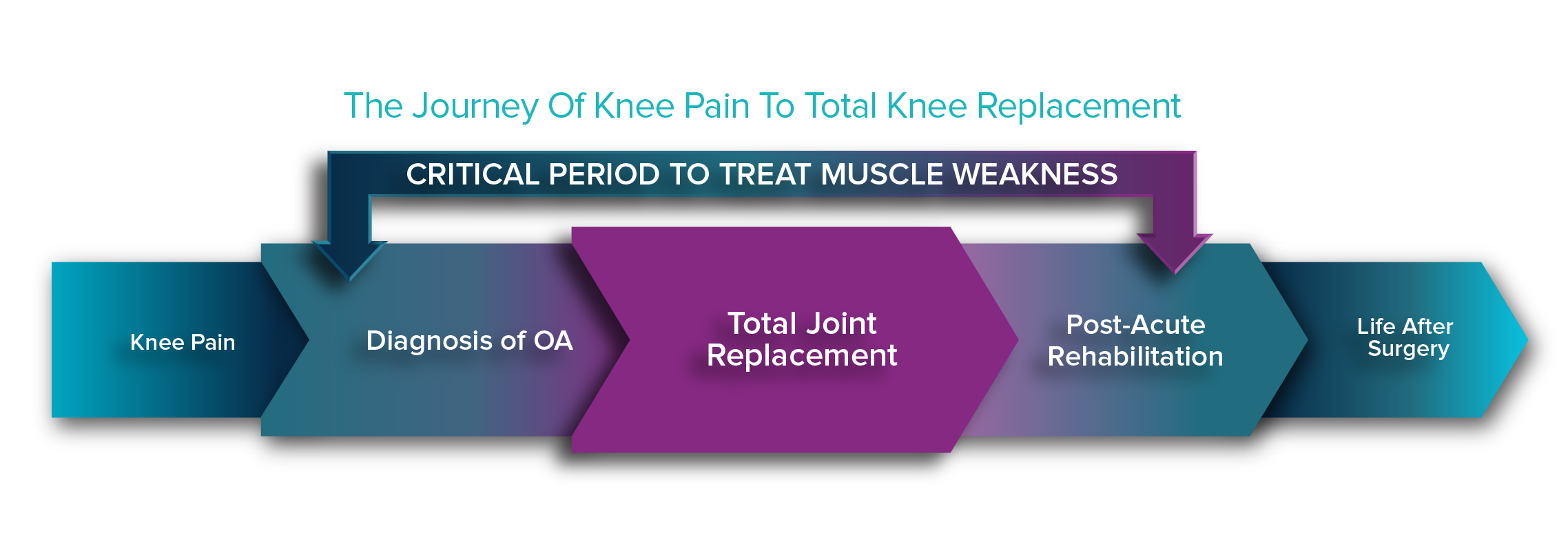 Products - CyMedica Orthopedics